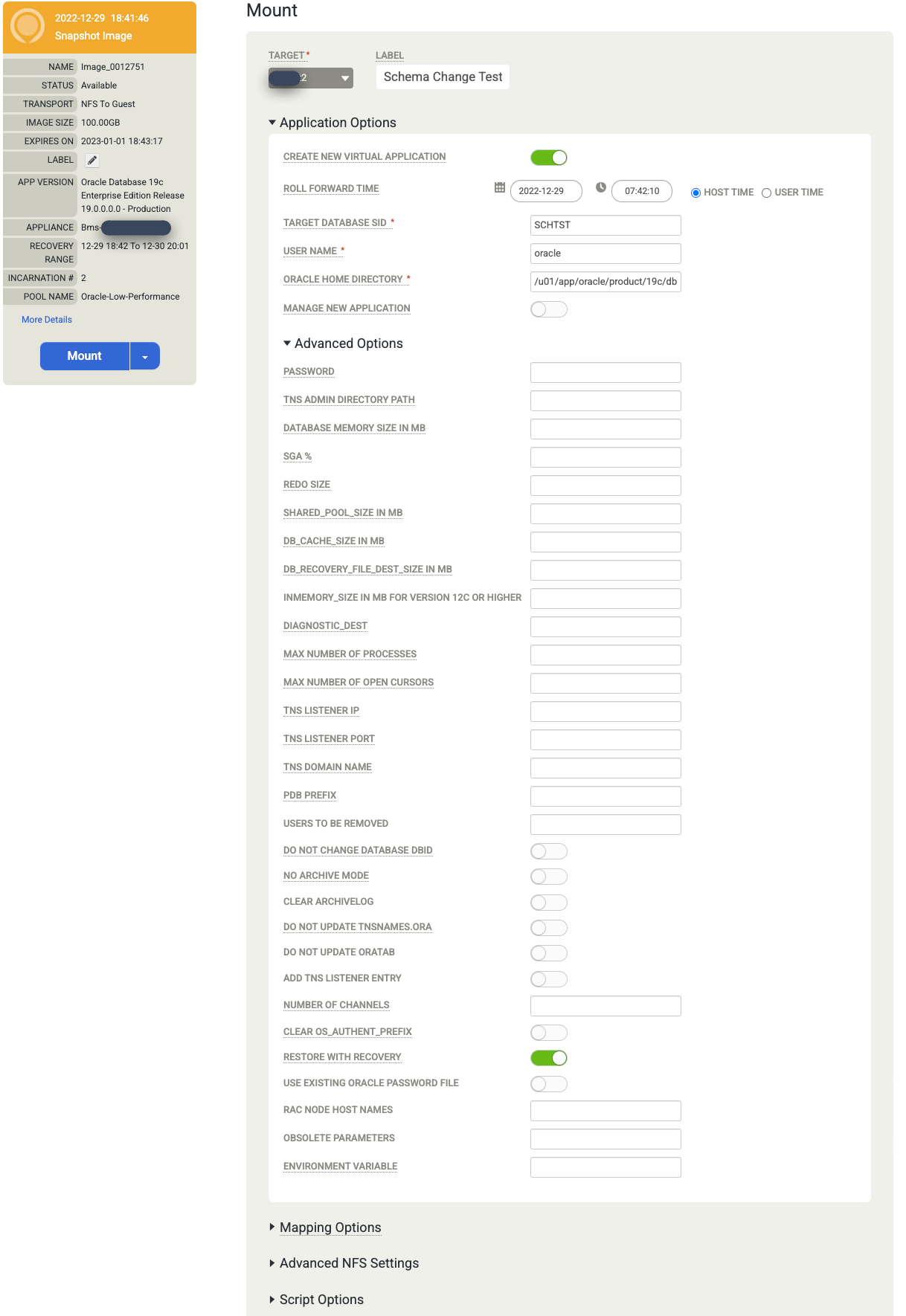 Backup and DR management console page that shows the fields you need to enter to mount a backup image.