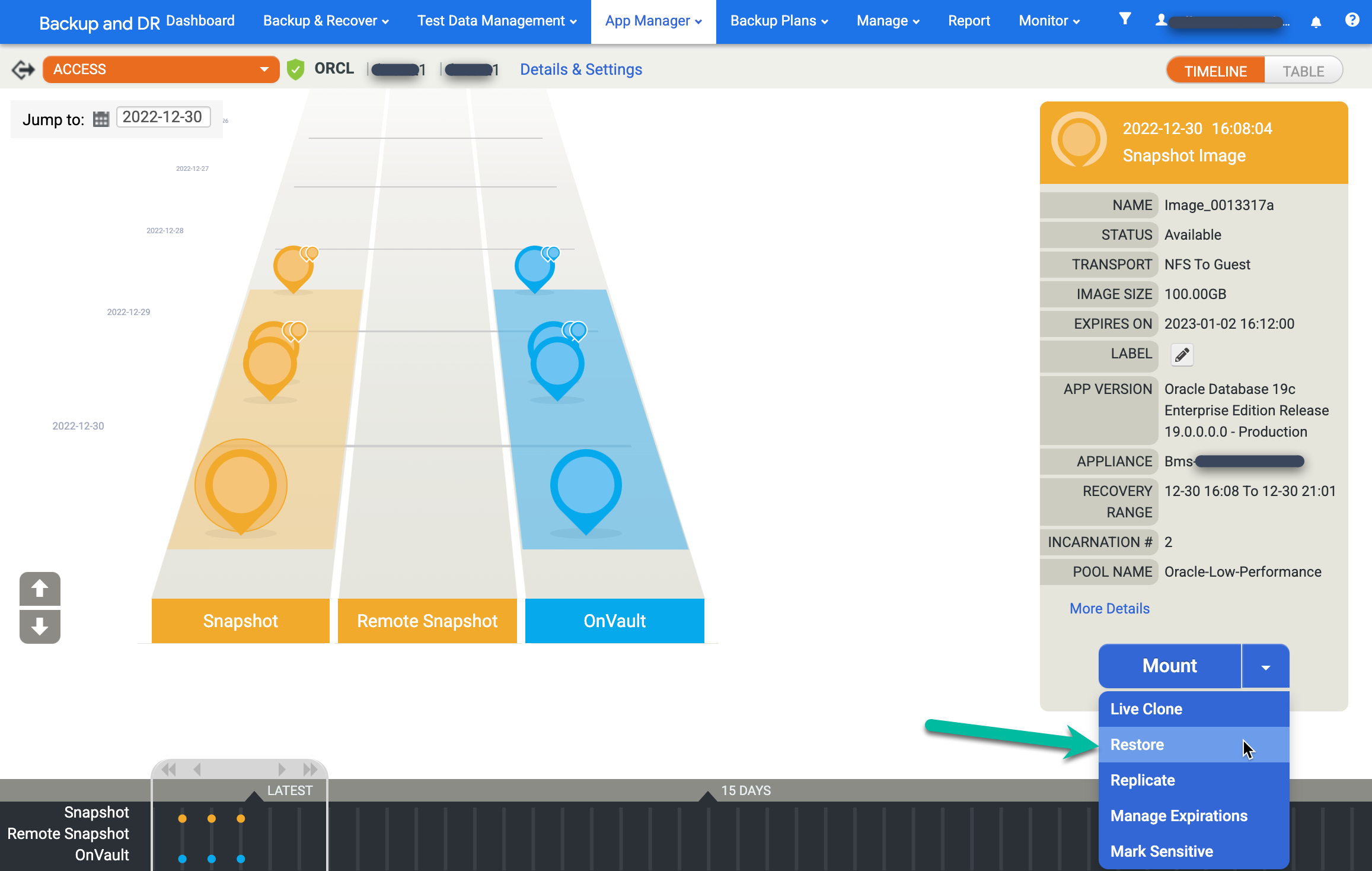 Backup and DR management console page that shows how to restore a backup image.